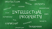 Caribbean Islands intellectual property rights investigator